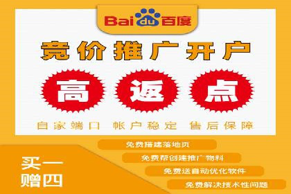 竞价推广代运营成功案例分析
